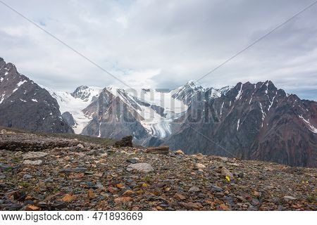 Dramatic Landscape With High Snowy Mountain Range With Long Glacier Tongue And Pointed Peak In Sunli