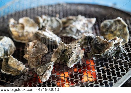 Grilled Fresh Oyster In Taiwan, Famous Street Food.