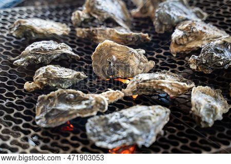 Grilled Fresh Oyster In Taiwan, Famous Street Food.