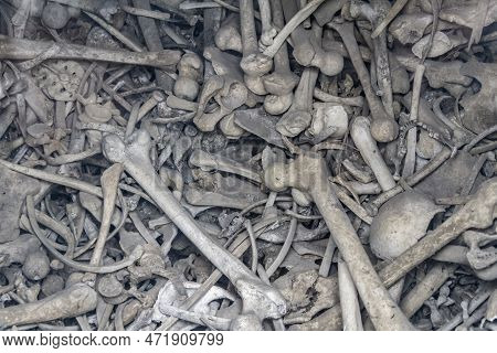 Lots Of Human Bones From Fallen Soldiers Seen At The Douaumont Ossuary, A Memorial Located Near Verd