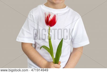 Tulips On Jeans And Spring Calling On Smartphone Kid Holding Flower
