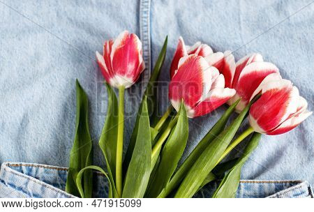 Tulips On Jeans And Spring Calling On Smartphone Kid Holding Flower