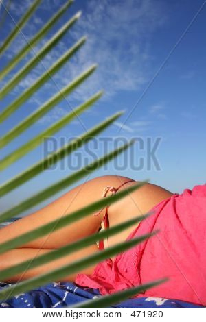 Tropical Beach