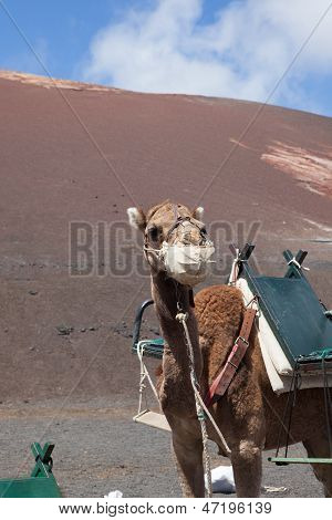 Qualche posto In Lanzarote