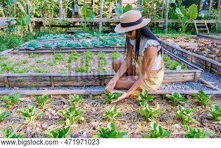 Asian Women With Saladin A Community Kitchen Garden. Raised Garden Beds With Plants Garden