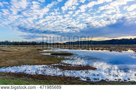 Clouds In The Sky Over The Nisqually Wetalnds Are Reflected In The Water. In Washington State.
