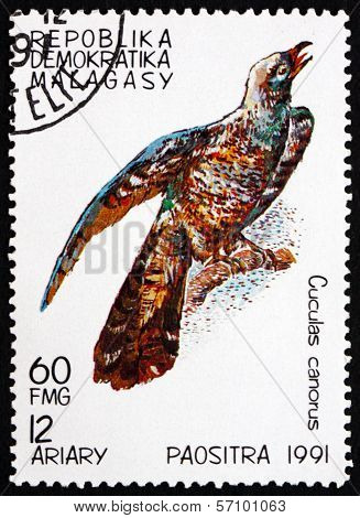 Postage Stamp Malagasy 1991 Common Cuckoo, Bird