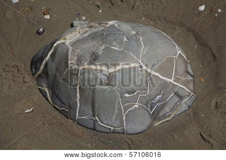 Turtle Boulder
