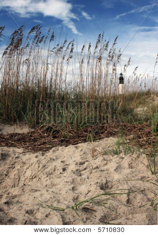 Tybee Sands