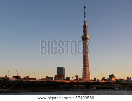 Tokyo Sky Tree