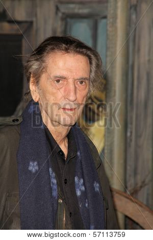 Harry Dean Stanton at the 