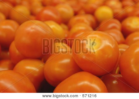 Tomaten