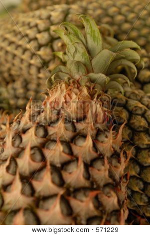 Honig-Ananas