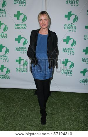 Radha Mitchell at Global Green USA's 8th Annual Pre-Oscar Party, Avalon, Hollywood, CA. 02-23-11