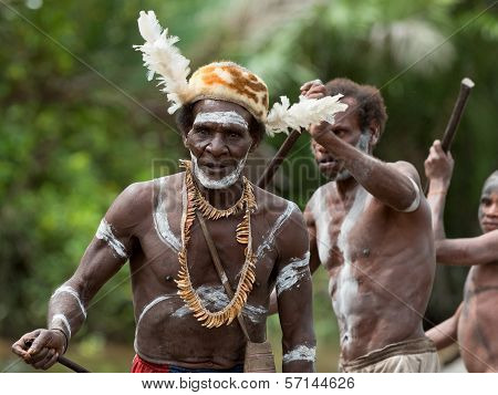 Asmat Warriors