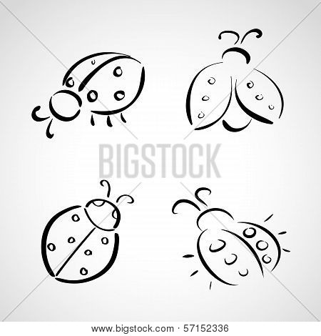 Sketch Icons - Ladybug