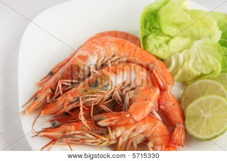 Koko keitetyt katkaravut