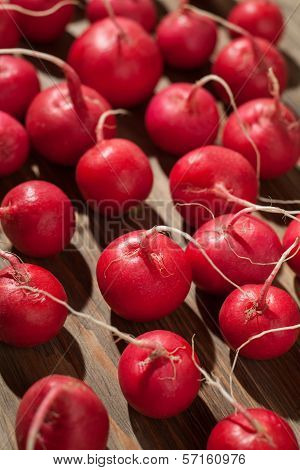 Fresh Radish