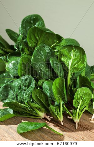 Fresh Spinach