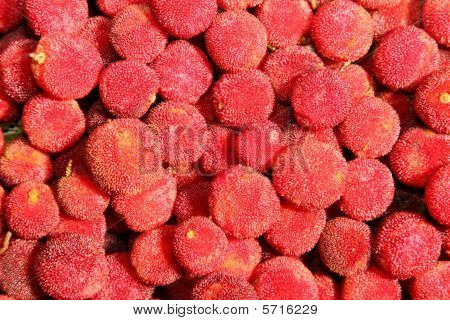 Waxberry