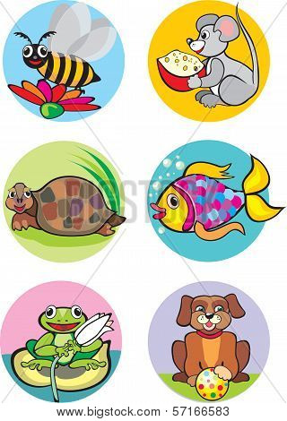 Animals