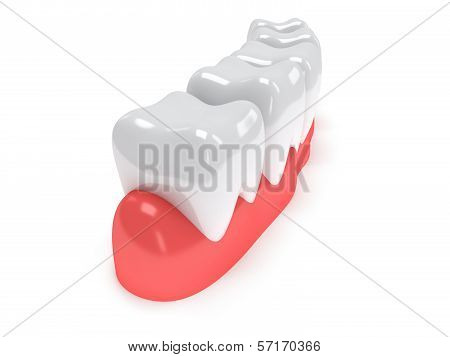 Teeth on gingiva isolated on white back.