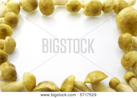 Champignon