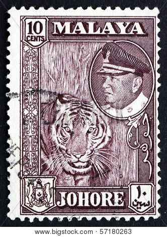 Postage Stamp Malaya 1960 Tiger
