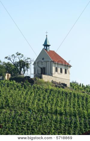 Vitigno da Praga centro