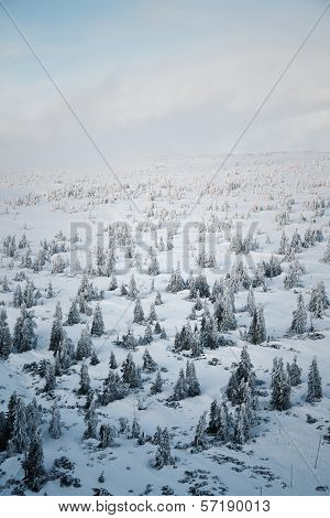 Winter country