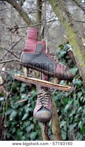 Men's winter skate on the tree