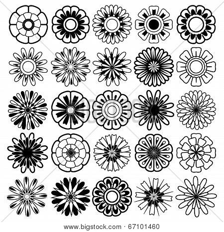 Flower Vector Set