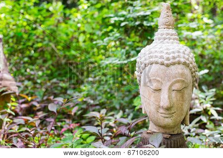 Buddha In Thailand Stucco Nature