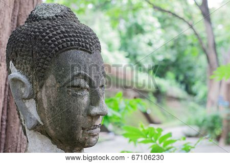Buddha In Thailand Stucco Nature