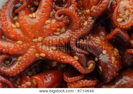 Marinierte Baby Kraken
