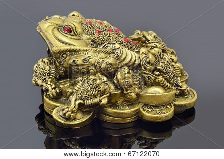 Money Toad