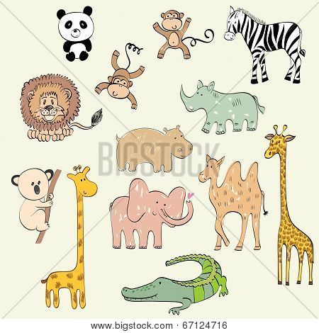 animals