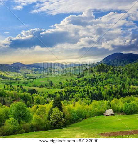 Meadow On  Hillside Meadow In Mountain