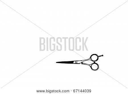 Scissors
