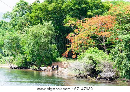 View Over River Kwai, Kanchanaburi Province, Thailand.