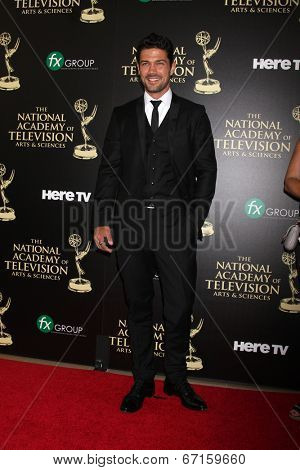 LOS ANGELES - JUN 22:  Ryan Paevey at the 2014 Daytime Emmy Awards Arrivals at the Beverly Hilton Hotel on June 22, 2014 in Beverly Hills, CA