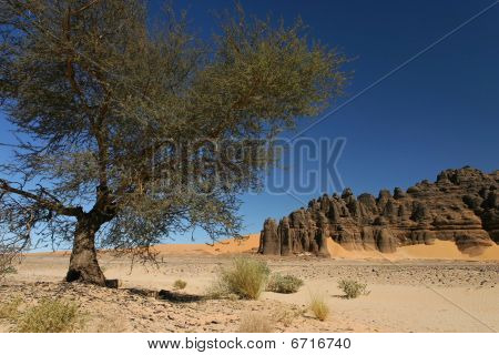 Hoggar Tassili