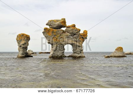 Ocean Rock