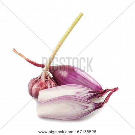 Garlic And Onions