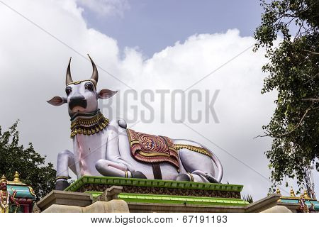 Statue of sacred bull Nandi at the entrance of Hindu temple