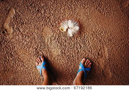 Tropical Beach, Legs In Sand.