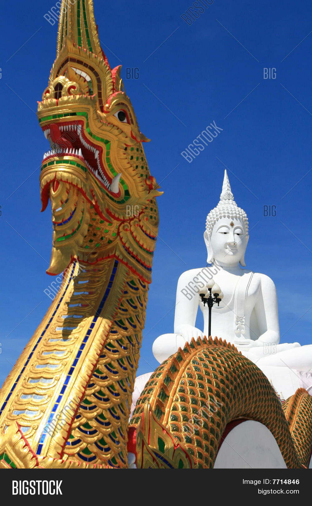 Image Preview