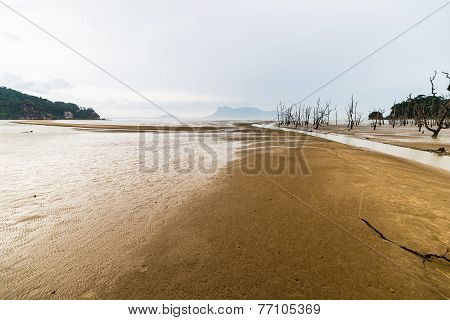 Bako National Park Landscape