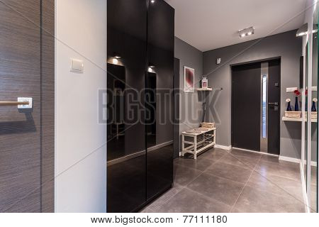 Gray Anteroom In Contemporary Dwelling