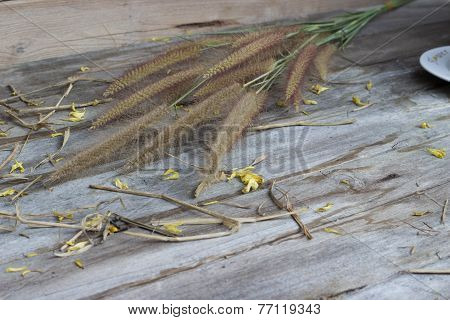 Still Life grass on wood